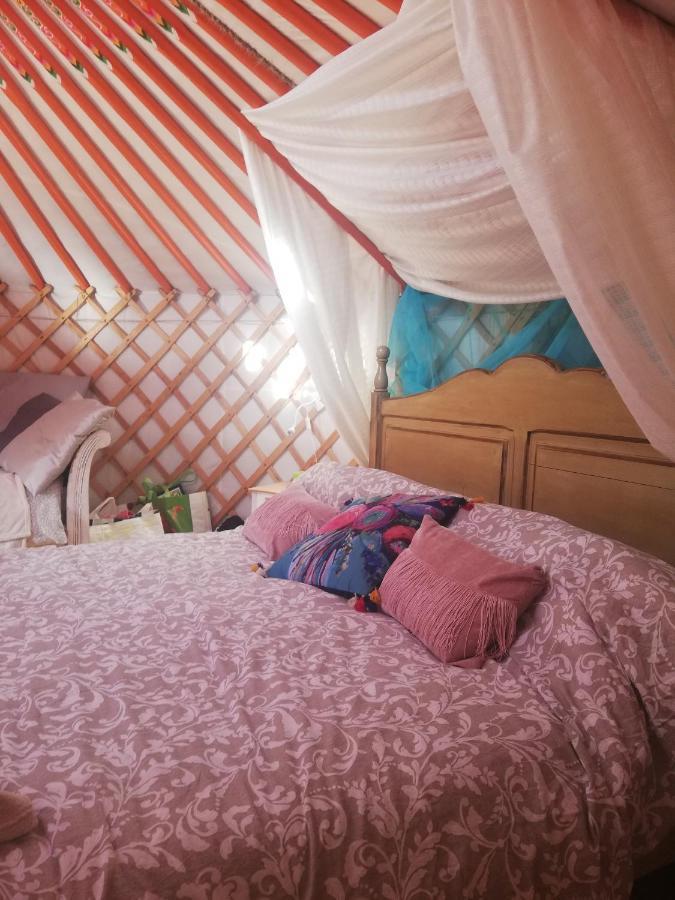 Yurta De Arico Hotel Arico Viejo Екстериор снимка